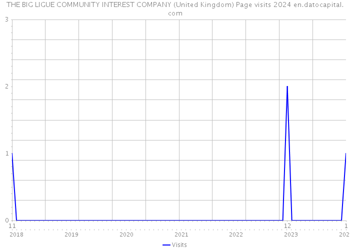 THE BIG LIGUE COMMUNITY INTEREST COMPANY (United Kingdom) Page visits 2024 
