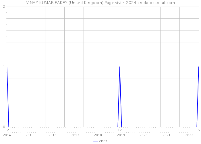 VINAY KUMAR FAKEY (United Kingdom) Page visits 2024 