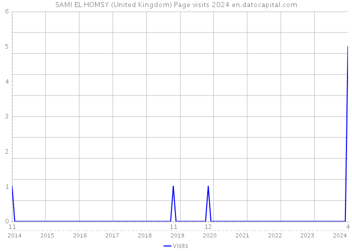 SAMI EL HOMSY (United Kingdom) Page visits 2024 