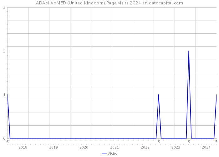 ADAM AHMED (United Kingdom) Page visits 2024 
