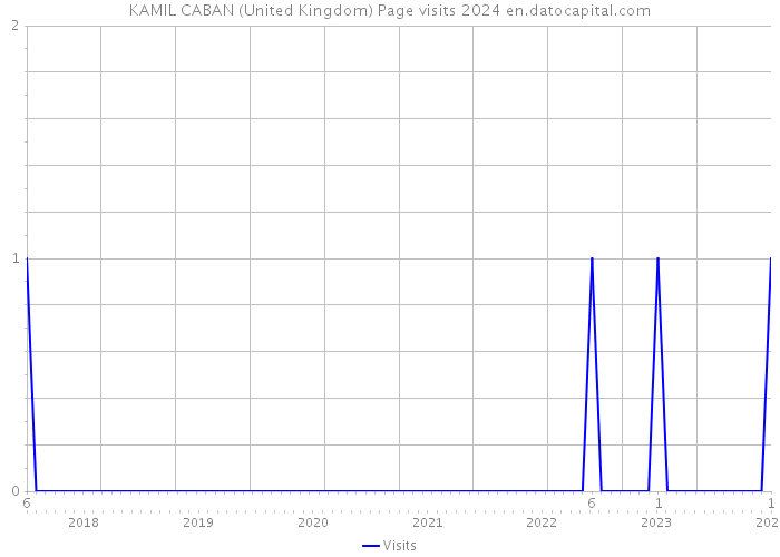 KAMIL CABAN (United Kingdom) Page visits 2024 