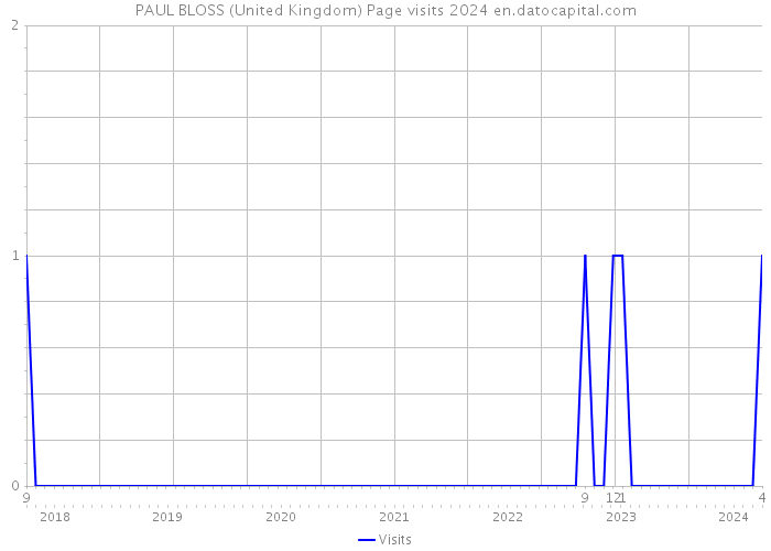 PAUL BLOSS (United Kingdom) Page visits 2024 