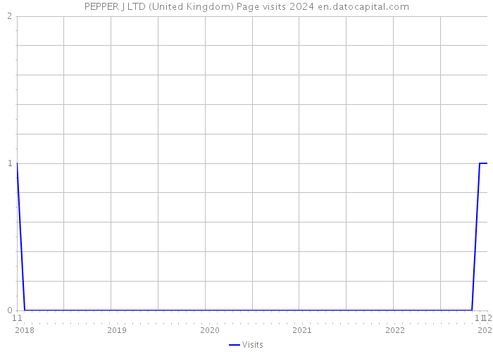 PEPPER J LTD (United Kingdom) Page visits 2024 