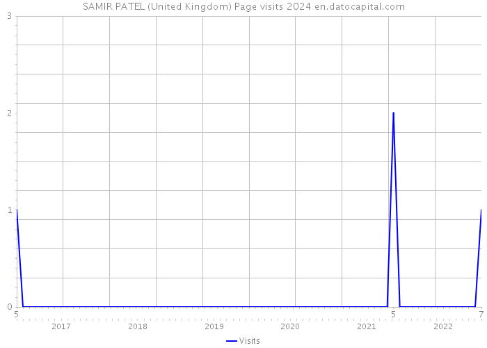 SAMIR PATEL (United Kingdom) Page visits 2024 