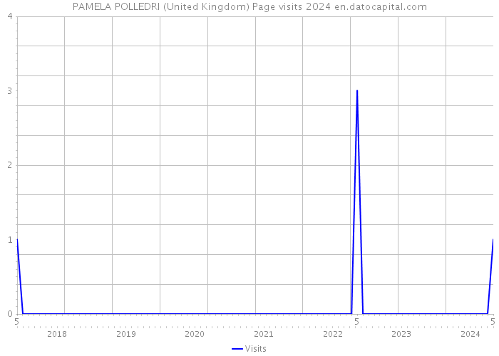 PAMELA POLLEDRI (United Kingdom) Page visits 2024 
