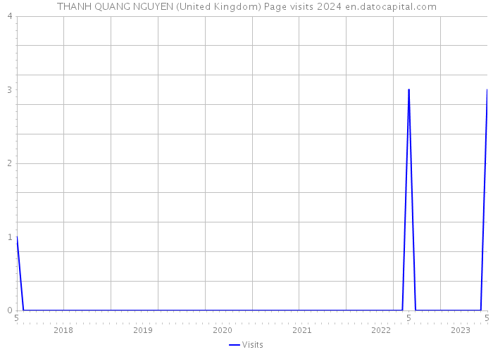 THANH QUANG NGUYEN (United Kingdom) Page visits 2024 