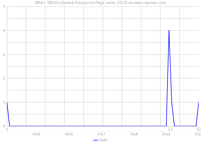 ERAY TEKIN (United Kingdom) Page visits 2024 
