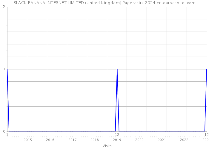BLACK BANANA INTERNET LIMITED (United Kingdom) Page visits 2024 