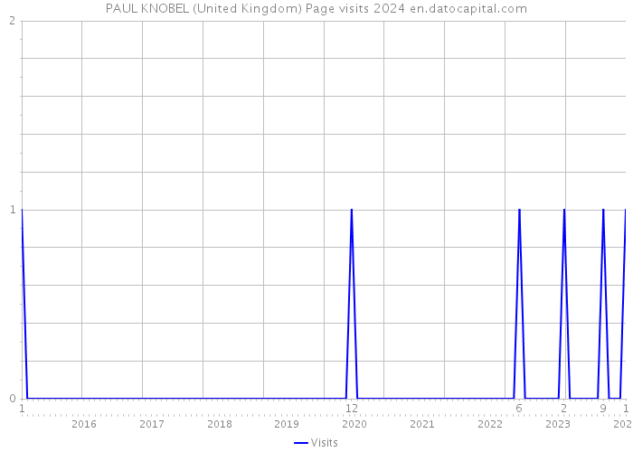 PAUL KNOBEL (United Kingdom) Page visits 2024 