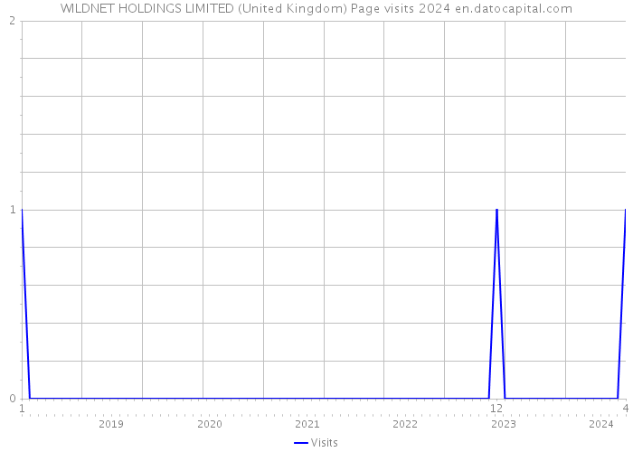 WILDNET HOLDINGS LIMITED (United Kingdom) Page visits 2024 