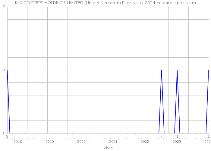 INDIGO STEPS HOLDINGS LIMITED (United Kingdom) Page visits 2024 