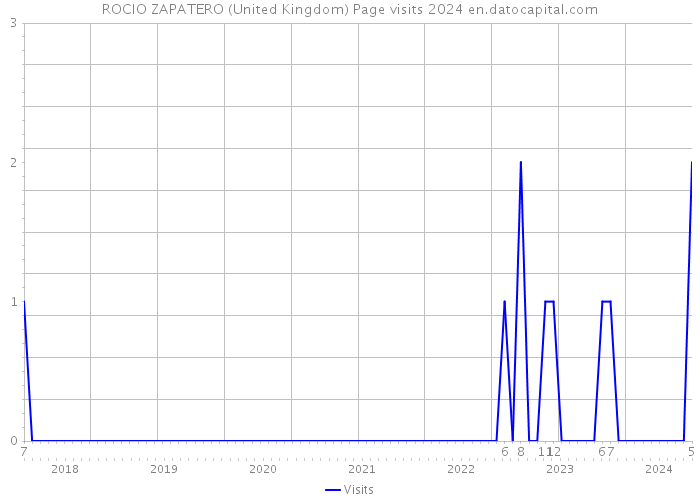 ROCIO ZAPATERO (United Kingdom) Page visits 2024 