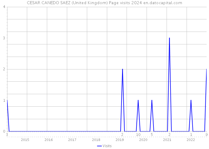 CESAR CANEDO SAEZ (United Kingdom) Page visits 2024 