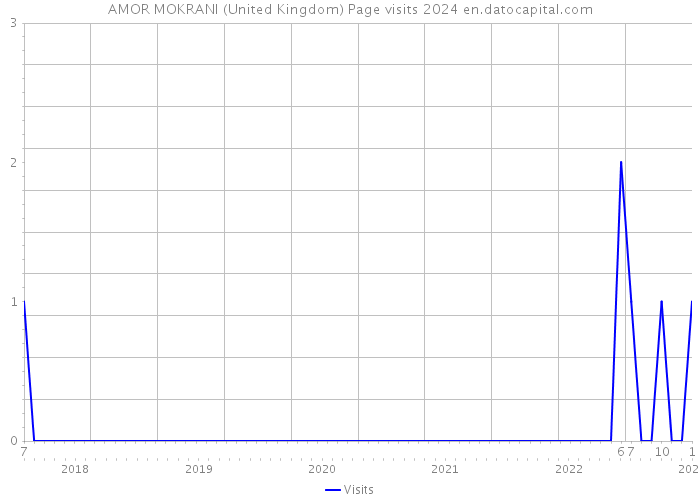 AMOR MOKRANI (United Kingdom) Page visits 2024 