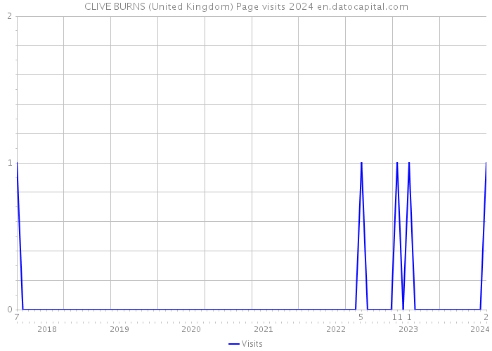 CLIVE BURNS (United Kingdom) Page visits 2024 