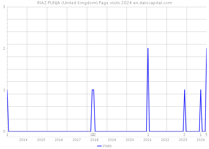RIAZ PUNJA (United Kingdom) Page visits 2024 