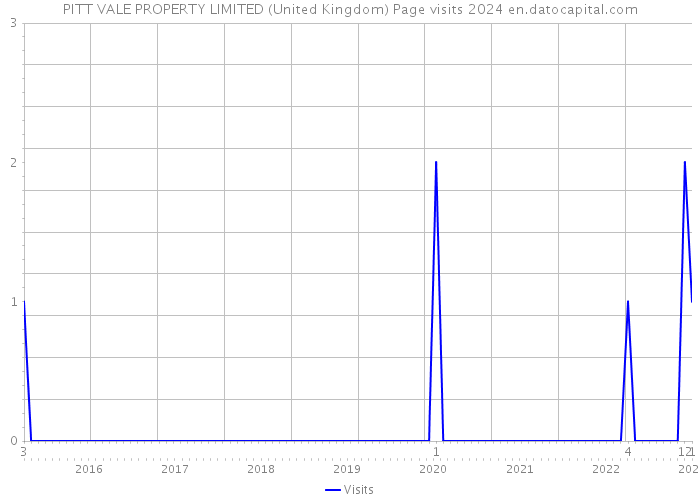 PITT VALE PROPERTY LIMITED (United Kingdom) Page visits 2024 