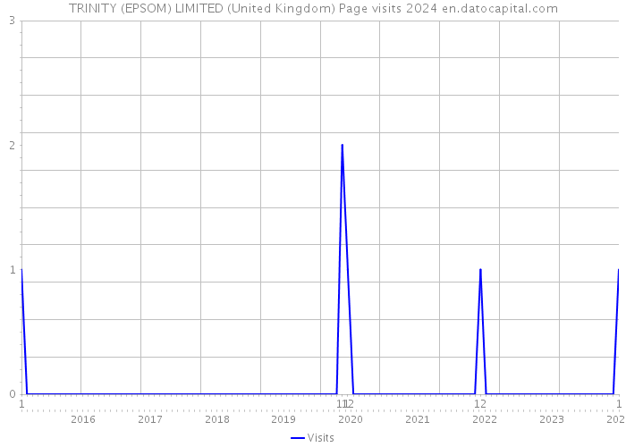 TRINITY (EPSOM) LIMITED (United Kingdom) Page visits 2024 