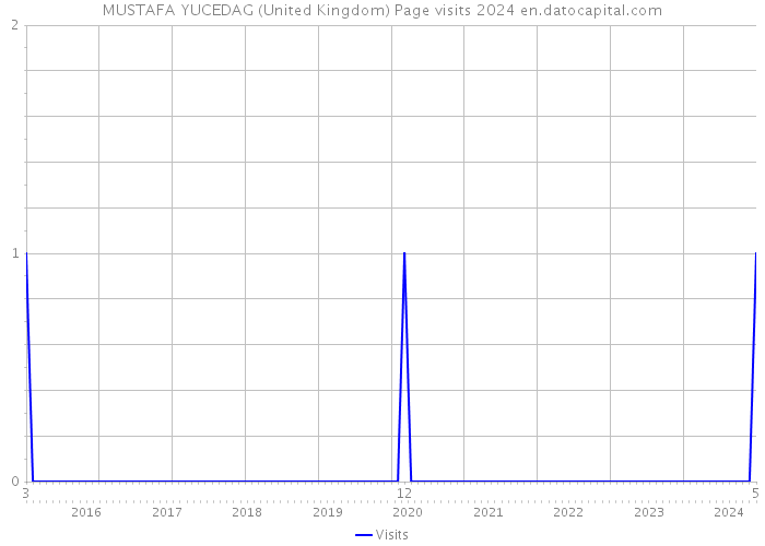 MUSTAFA YUCEDAG (United Kingdom) Page visits 2024 