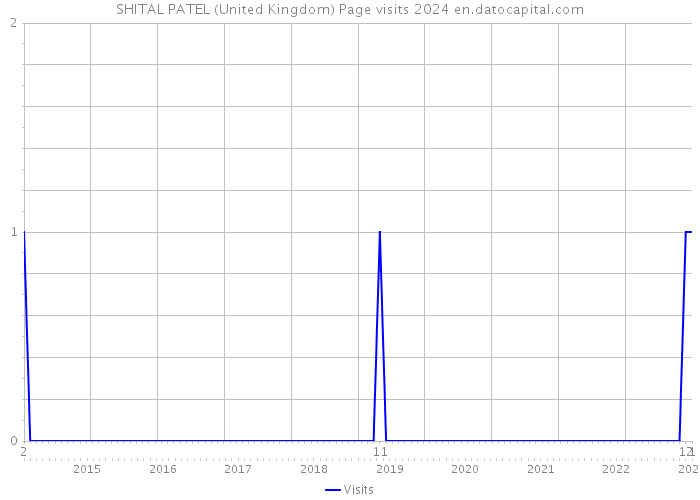 SHITAL PATEL (United Kingdom) Page visits 2024 