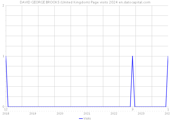 DAVID GEORGE BROOKS (United Kingdom) Page visits 2024 