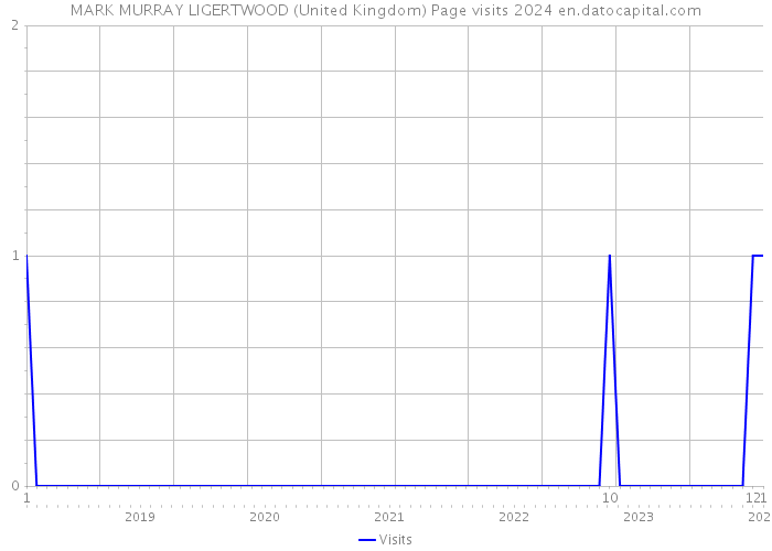 MARK MURRAY LIGERTWOOD (United Kingdom) Page visits 2024 