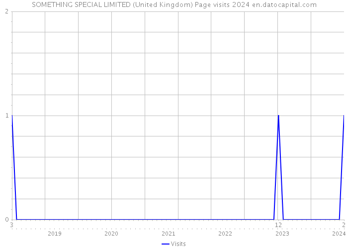 SOMETHING SPECIAL LIMITED (United Kingdom) Page visits 2024 