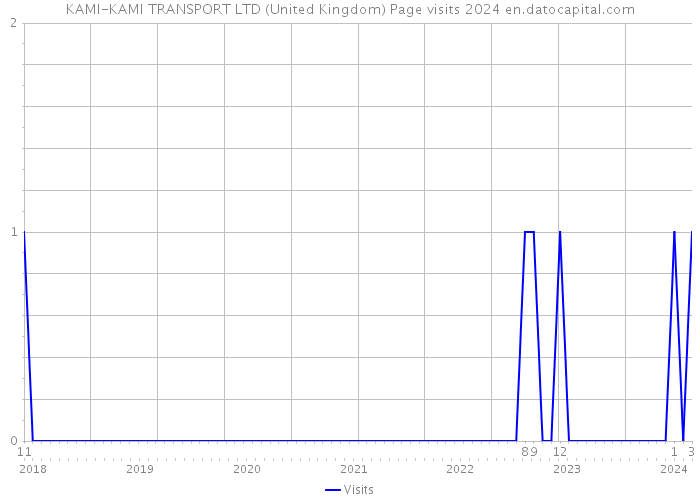 KAMI-KAMI TRANSPORT LTD (United Kingdom) Page visits 2024 
