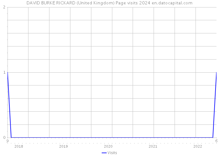 DAVID BURKE RICKARD (United Kingdom) Page visits 2024 