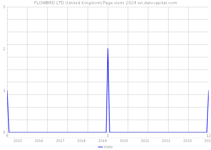 FLOWBIRD LTD (United Kingdom) Page visits 2024 