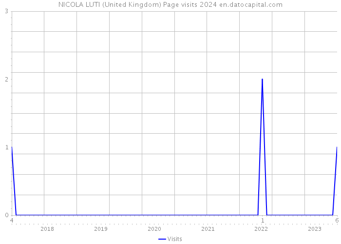 NICOLA LUTI (United Kingdom) Page visits 2024 