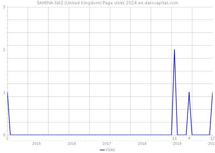 SAMINA NAZ (United Kingdom) Page visits 2024 