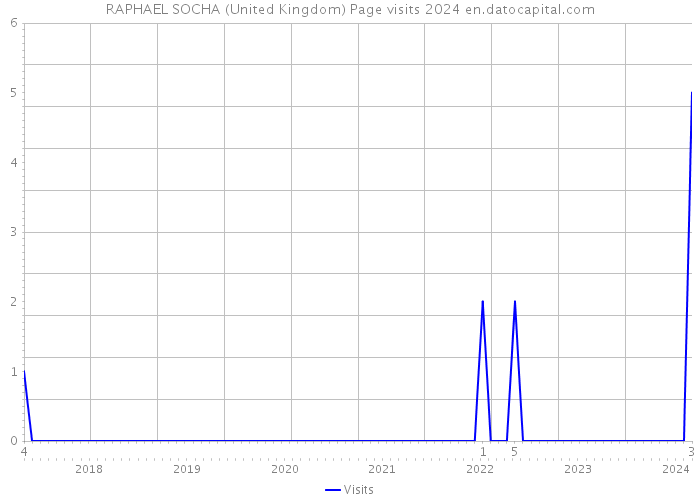 RAPHAEL SOCHA (United Kingdom) Page visits 2024 