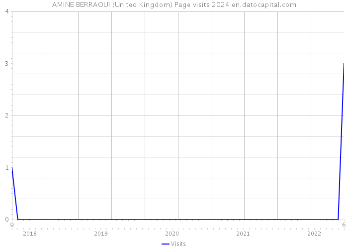 AMINE BERRAOUI (United Kingdom) Page visits 2024 
