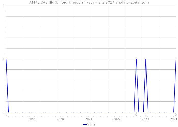 AMAL CASHIN (United Kingdom) Page visits 2024 