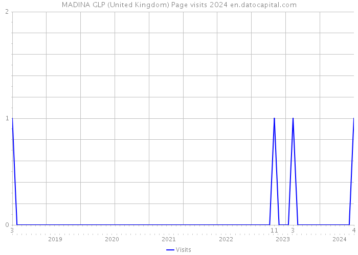 MADINA GLP (United Kingdom) Page visits 2024 