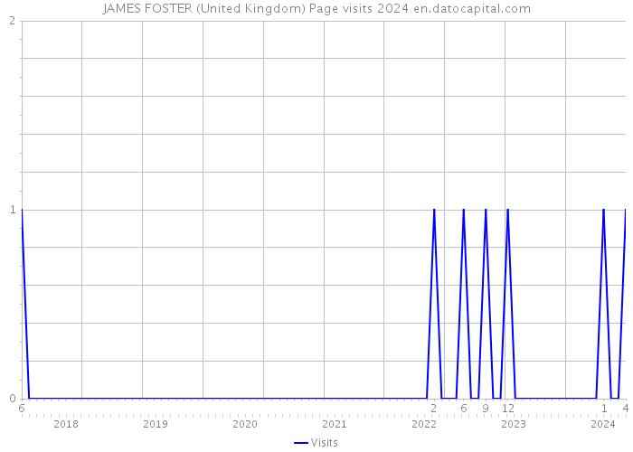 JAMES FOSTER (United Kingdom) Page visits 2024 