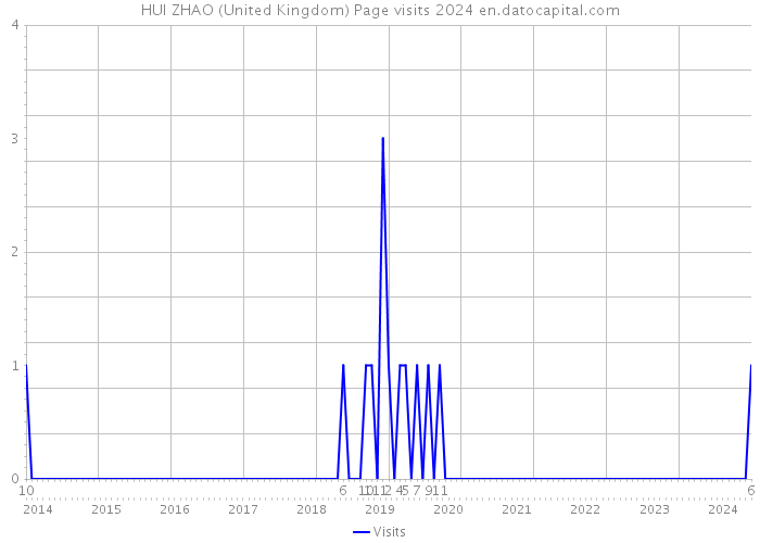HUI ZHAO (United Kingdom) Page visits 2024 