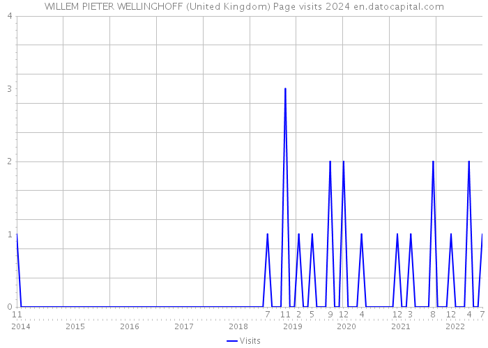WILLEM PIETER WELLINGHOFF (United Kingdom) Page visits 2024 
