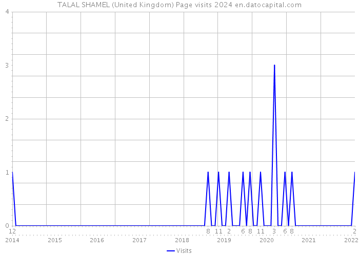 TALAL SHAMEL (United Kingdom) Page visits 2024 