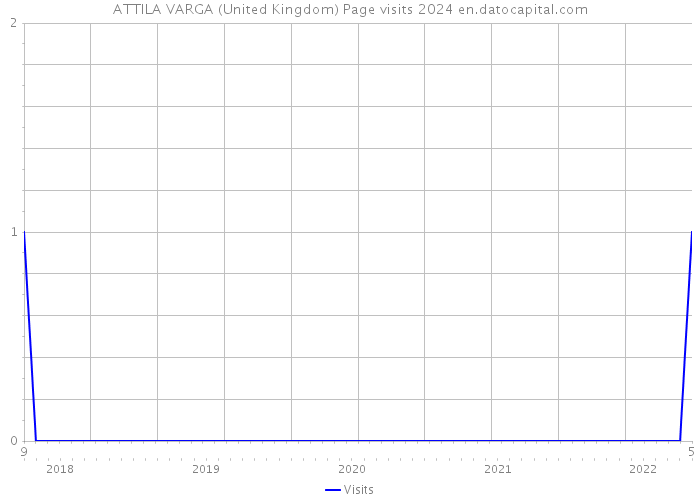ATTILA VARGA (United Kingdom) Page visits 2024 