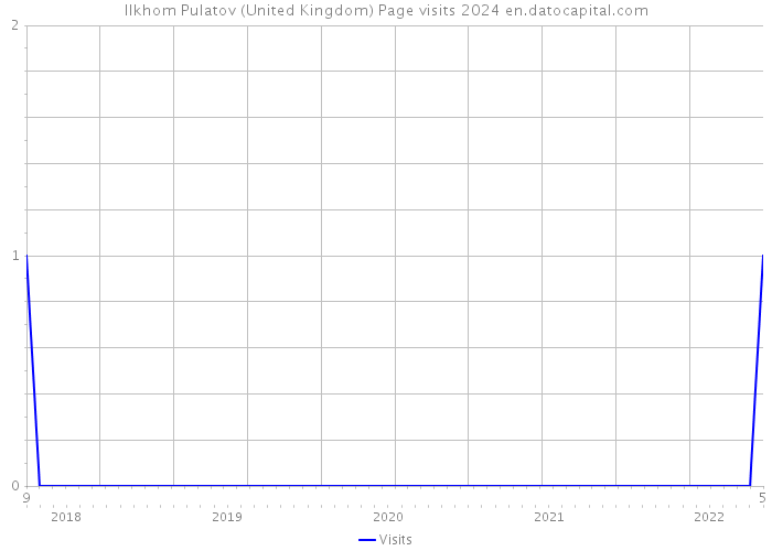 Ilkhom Pulatov (United Kingdom) Page visits 2024 