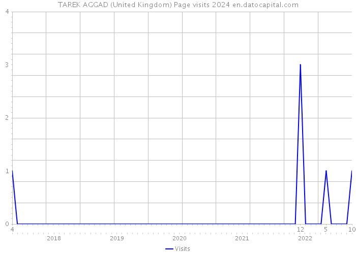 TAREK AGGAD (United Kingdom) Page visits 2024 