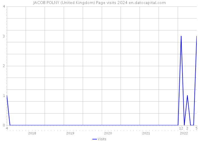 JACOB POLNY (United Kingdom) Page visits 2024 