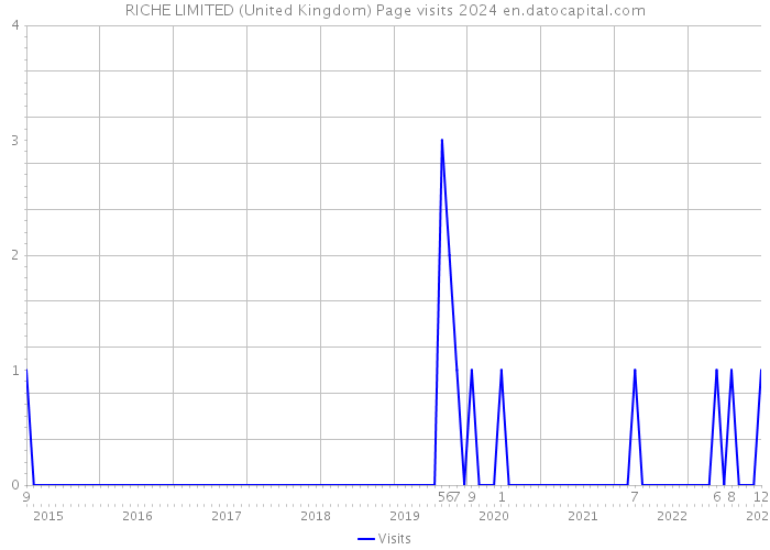 RICHE LIMITED (United Kingdom) Page visits 2024 