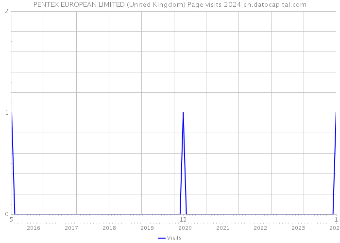 PENTEX EUROPEAN LIMITED (United Kingdom) Page visits 2024 