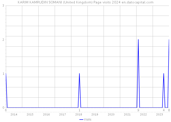 KARIM KAMRUDIN SOMANI (United Kingdom) Page visits 2024 