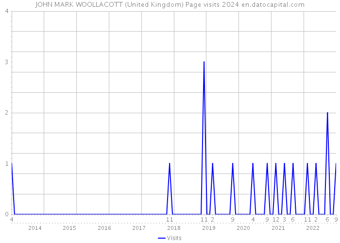 JOHN MARK WOOLLACOTT (United Kingdom) Page visits 2024 