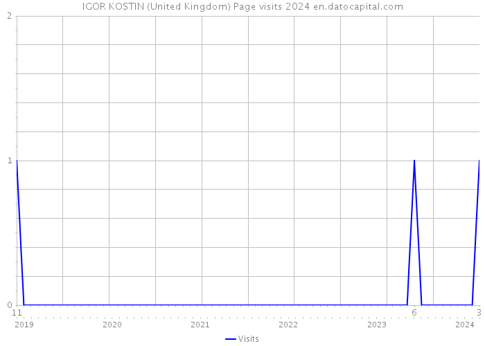 IGOR KOSTIN (United Kingdom) Page visits 2024 