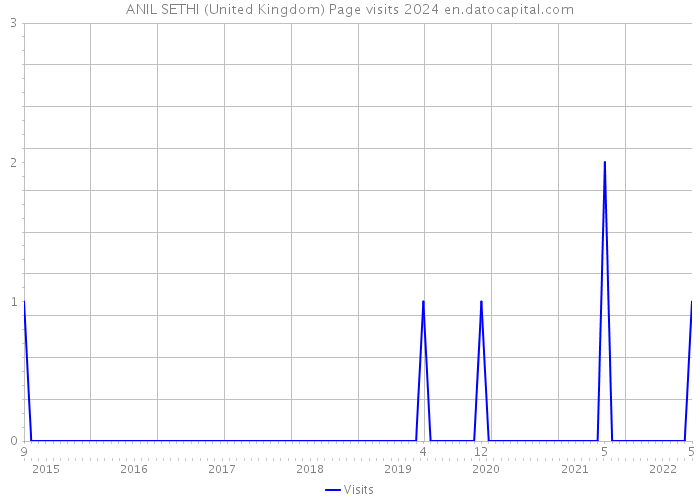 ANIL SETHI (United Kingdom) Page visits 2024 